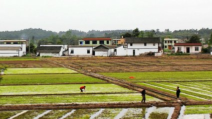 ũаȷȨ